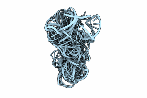 8VCI image