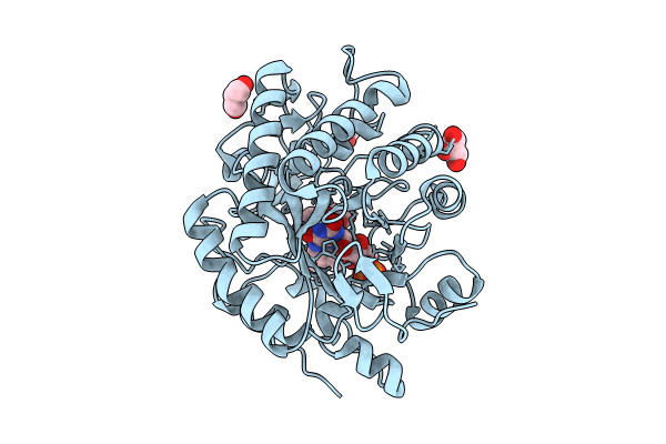 8VCN image