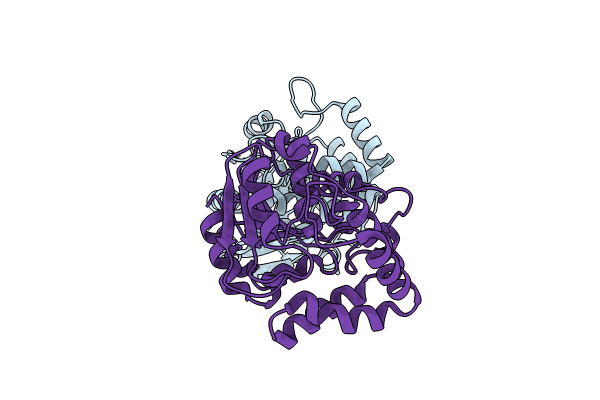 8VD3 image