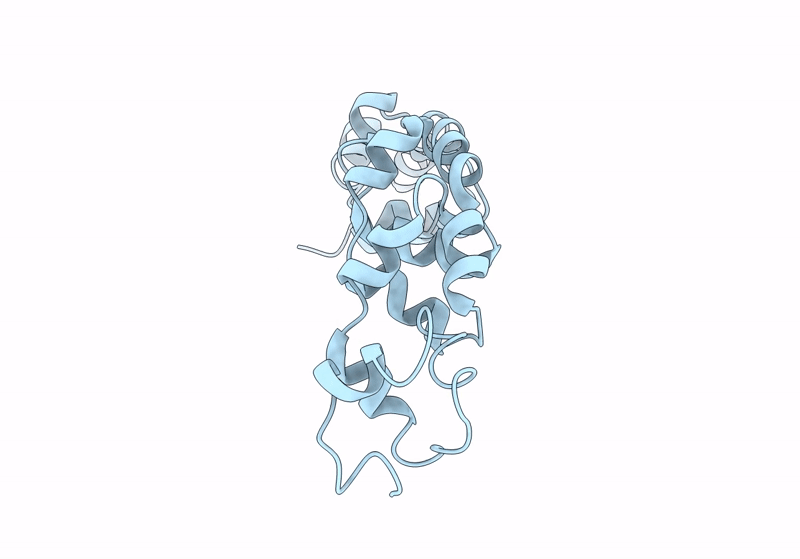 8VD6 image