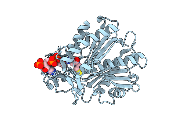 8VDA image