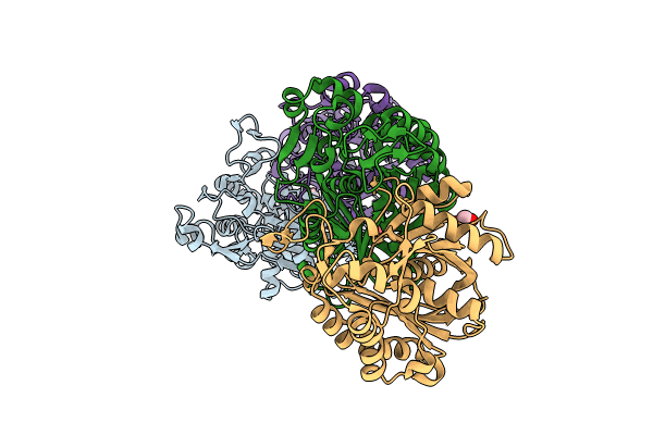 8VDB image