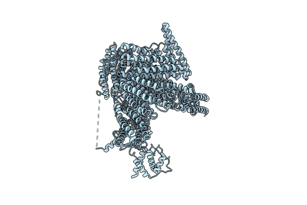 8VDR image