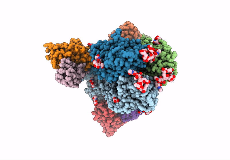 8VEB image
