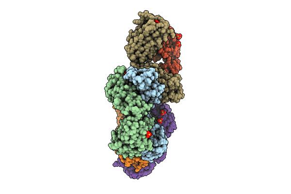 8VEV image