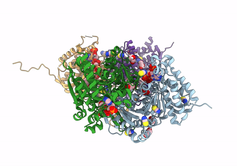 8VHB image