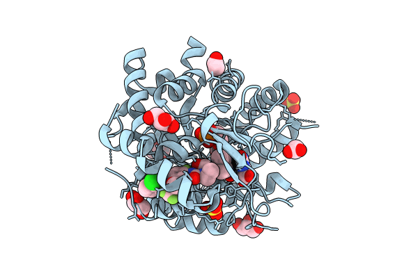 8VHL image