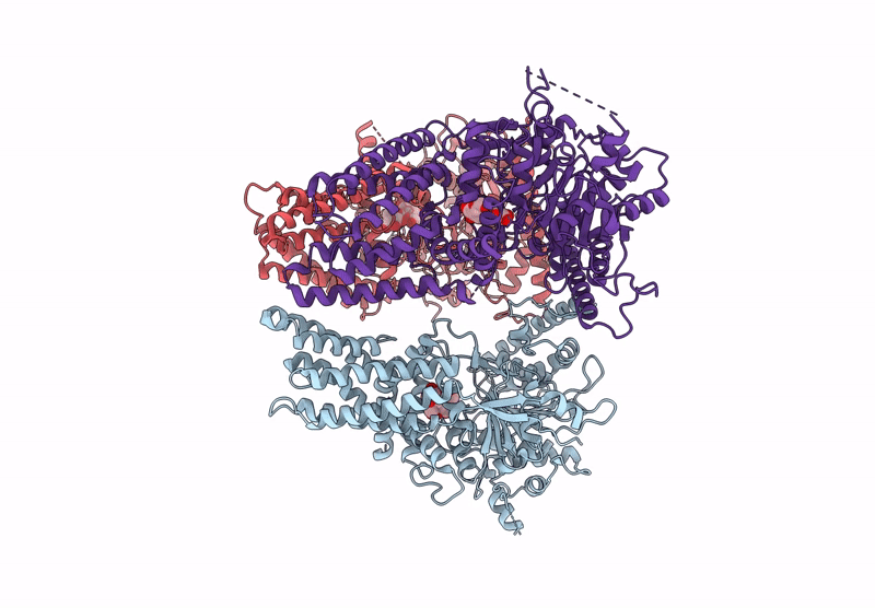 8VHT image