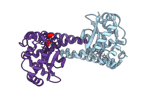 8VHW image