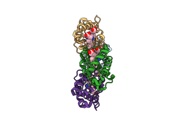 8VIJ image