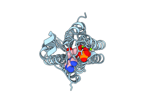 8VIQ image