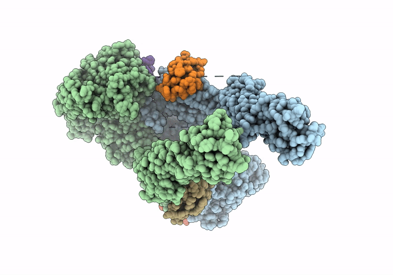 8VJB image