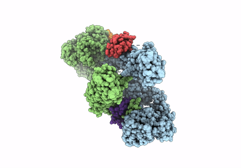 8VJC image