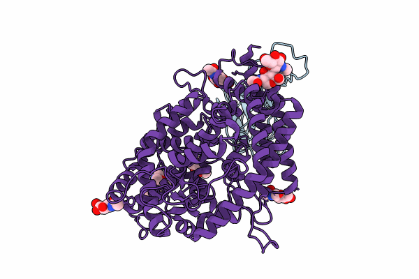 8VKP image