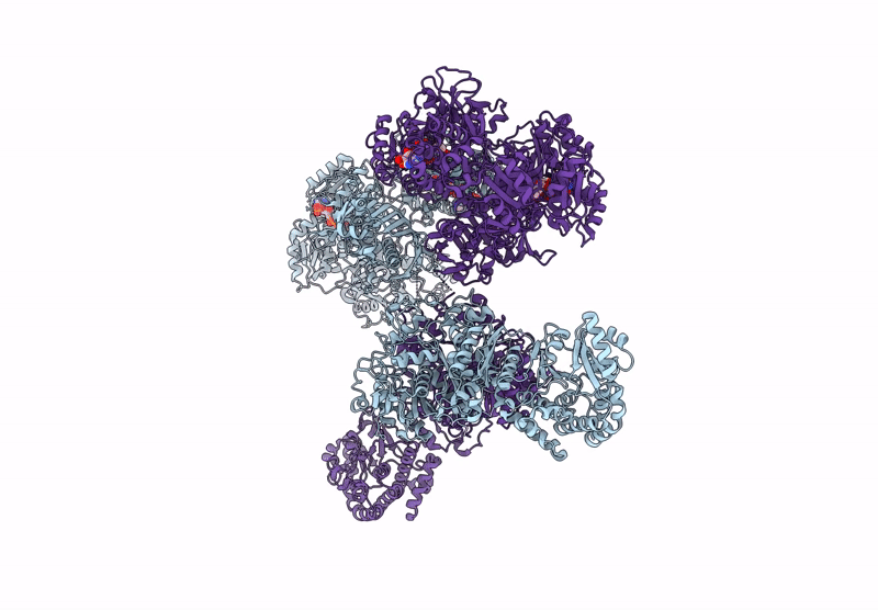 8VLP image