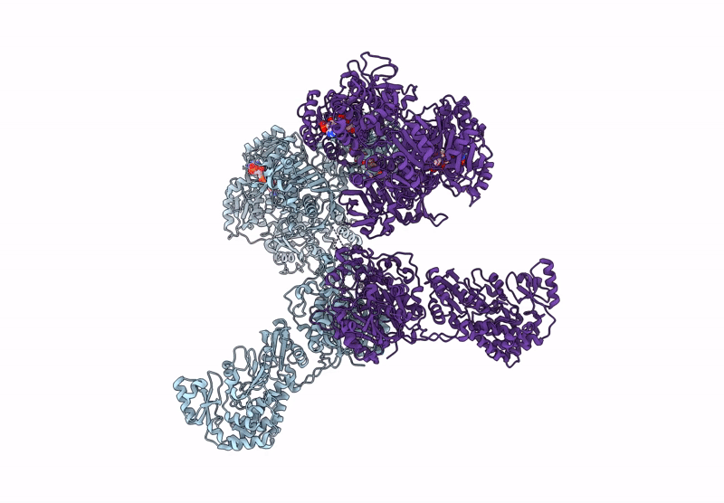 8VMC image