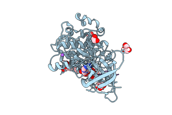 8VME image