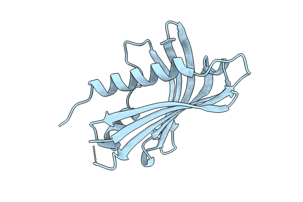 8VO2 image