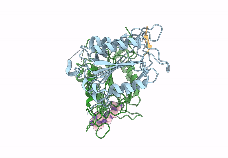 8VP4 image