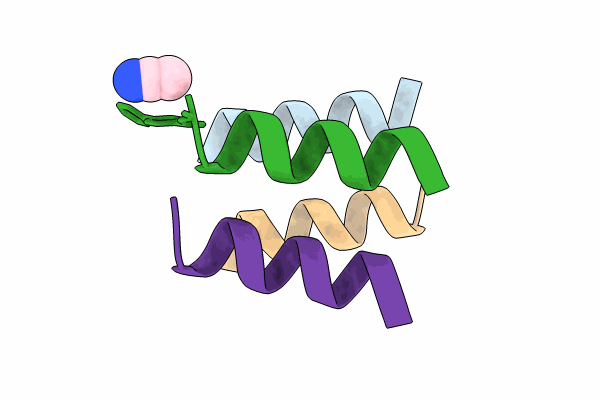 8VP7 image