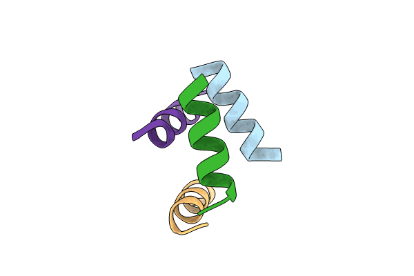 8VPC image