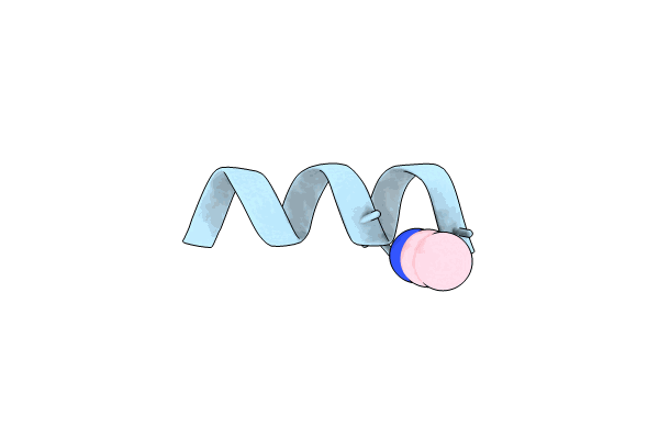 8VPD image