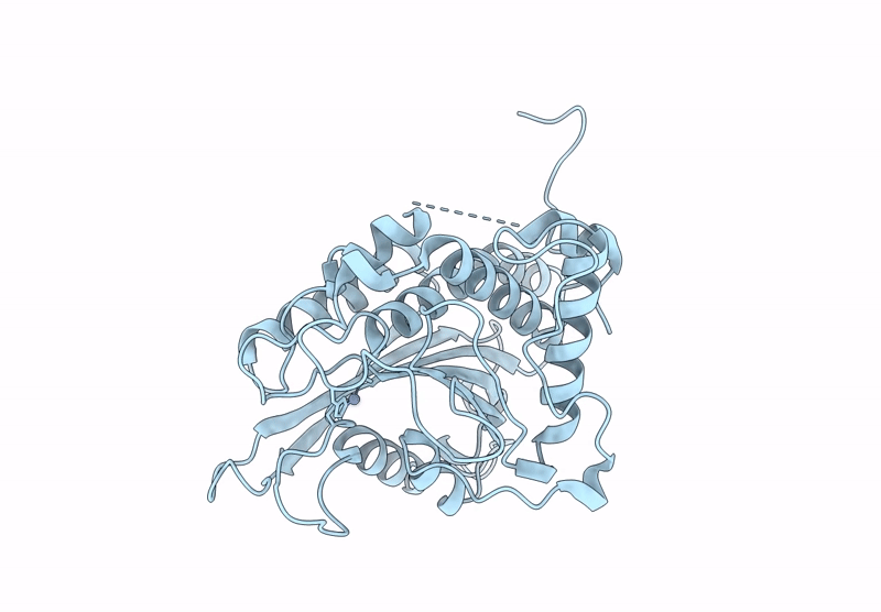 8VPM image