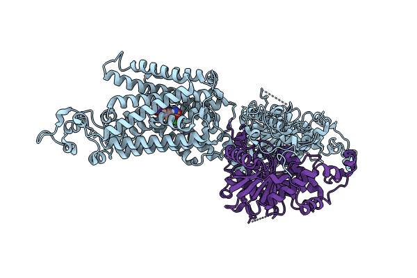 8VPP image