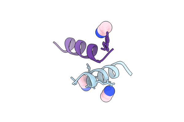 8VPT image