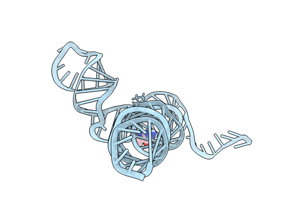 8VPV image