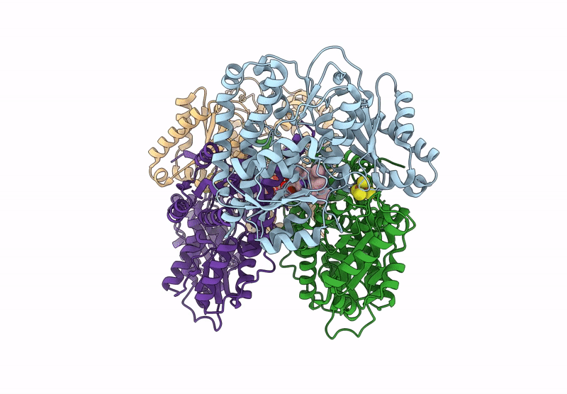 8VQI image