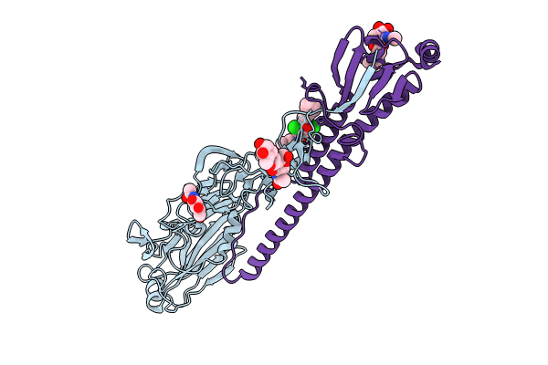 8VQM image
