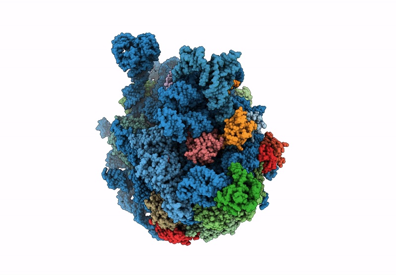 8VR8 image