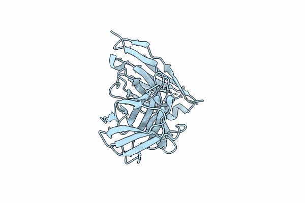8VRR image