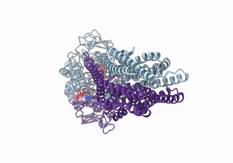 8VSI image