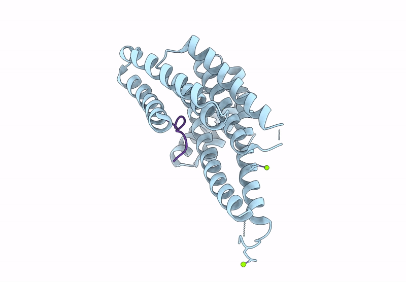8VSL image