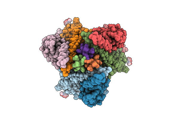 8VSP image