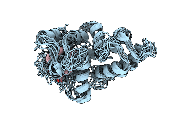 8VSX image