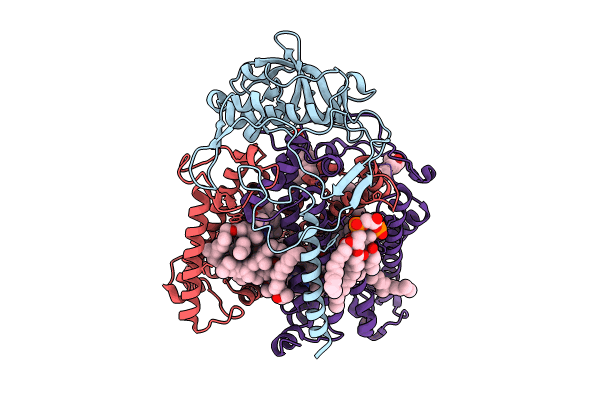 8VTJ image