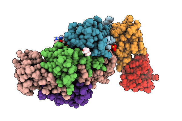8VTS image