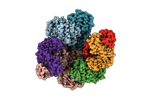 8VUN image