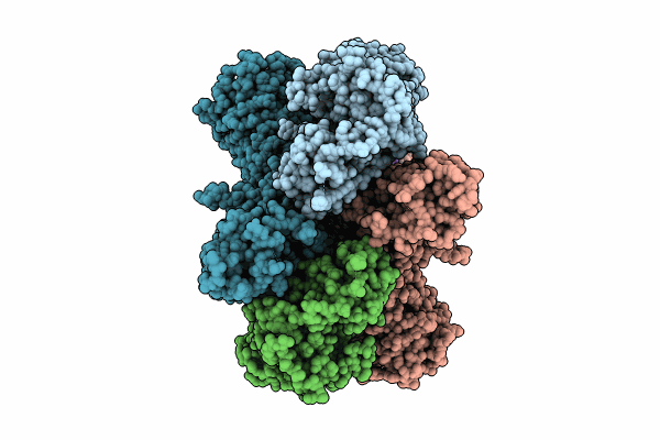 8VUS image