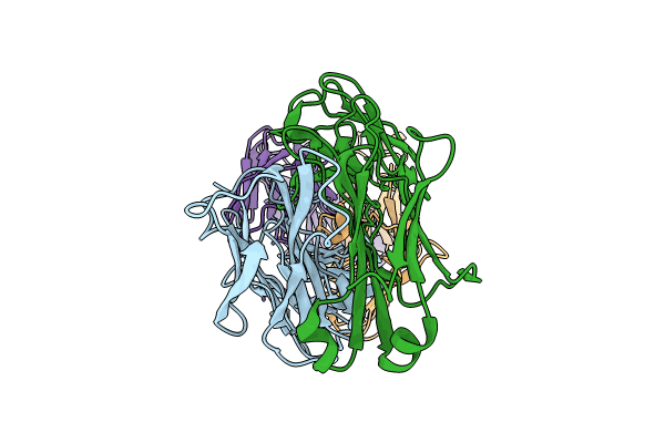8VUZ image