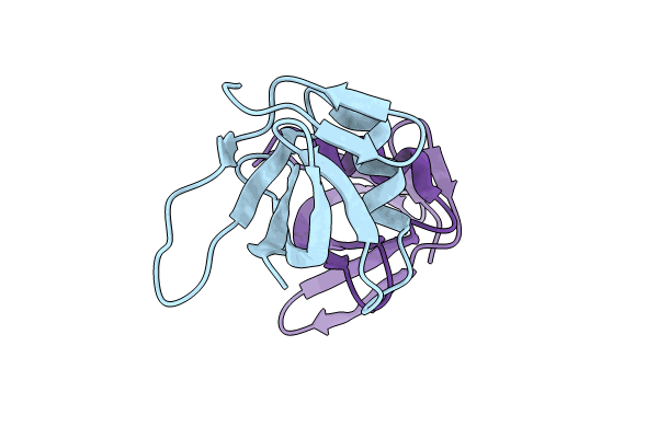 8VVA image