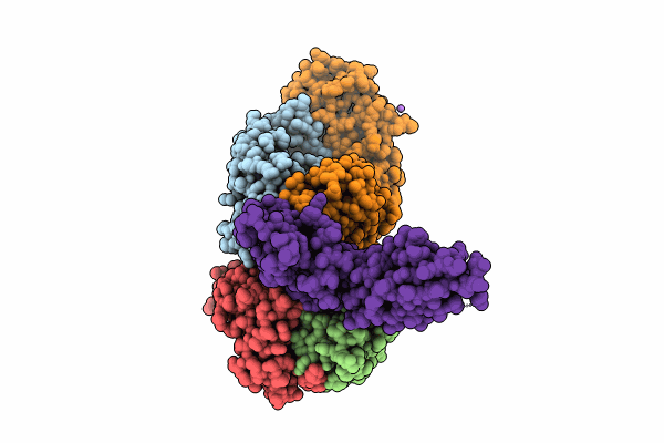 8VVO image
