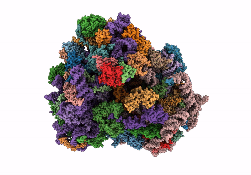 8VVP image
