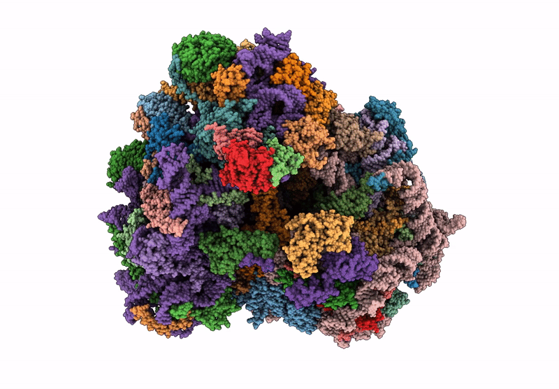 8VVR image