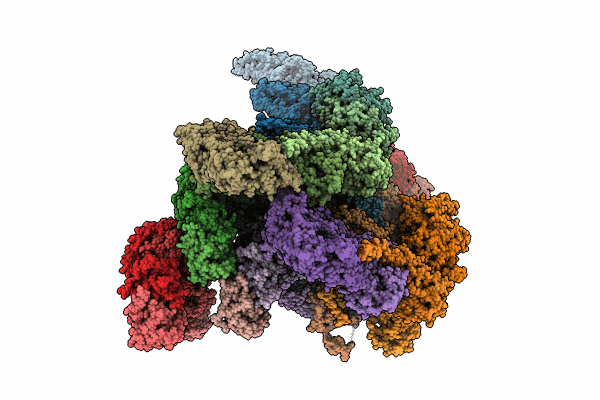 8VWI image