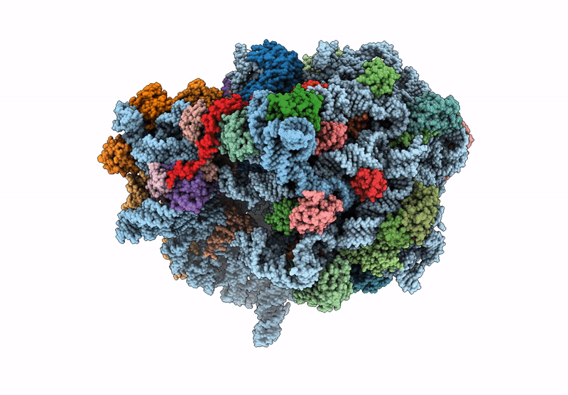 8VWQ image