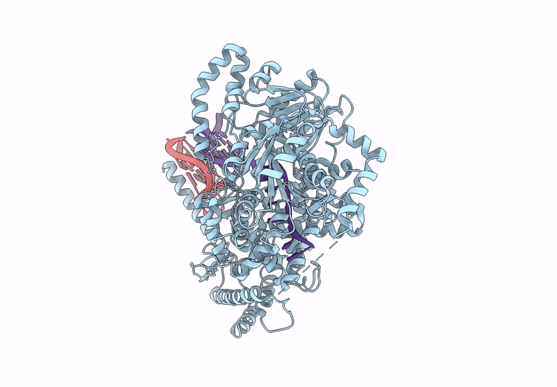8VX1 image
